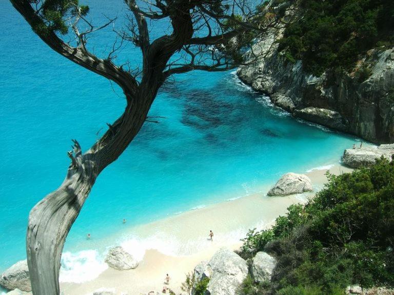 Estate In Ogliastra Sa Figumoru 5 Minuti Al Mare Διαμέρισμα Bari Sardo Εξωτερικό φωτογραφία